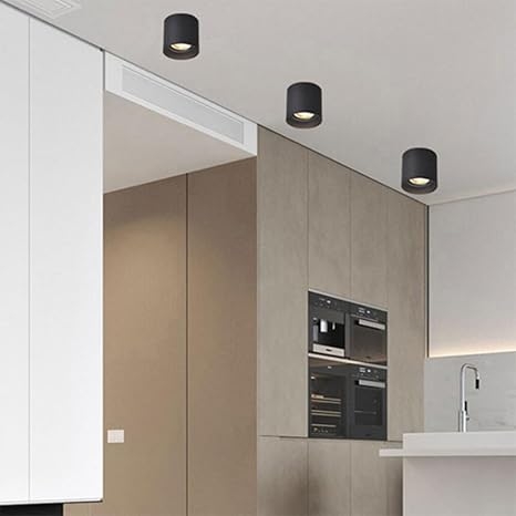The Futuristic Ring Ceiling Light D779