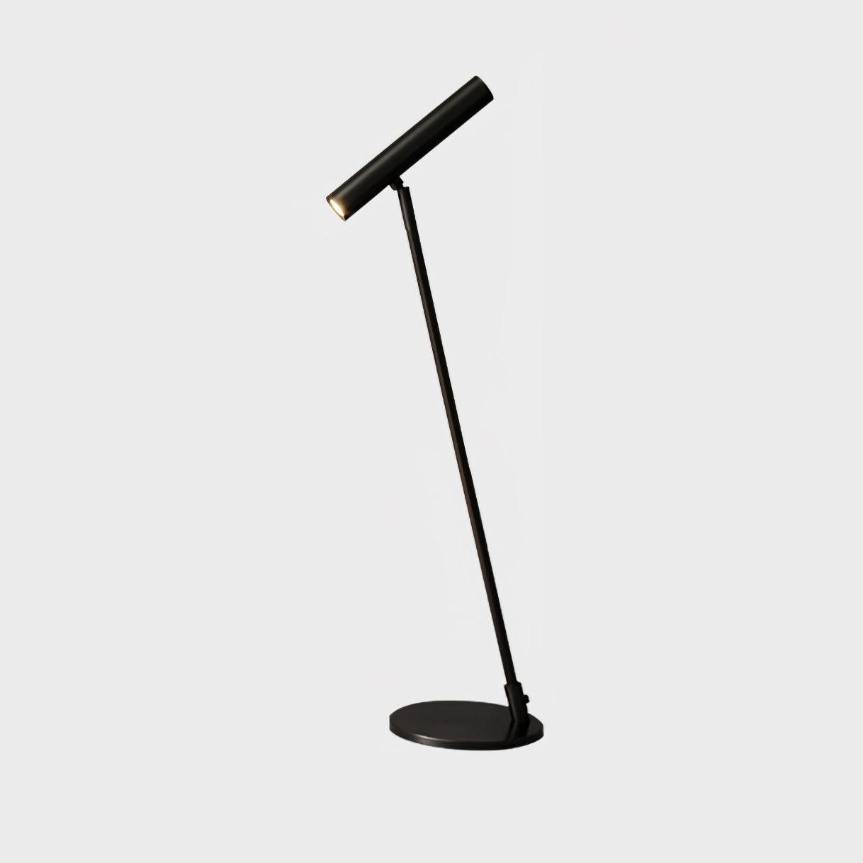 Modern Minimalist Brass Adjustable LED Floor Lamp K707