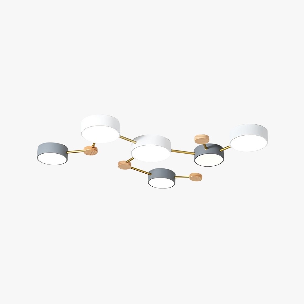 Modern Branch Circular Led Ceiling Lamp K933