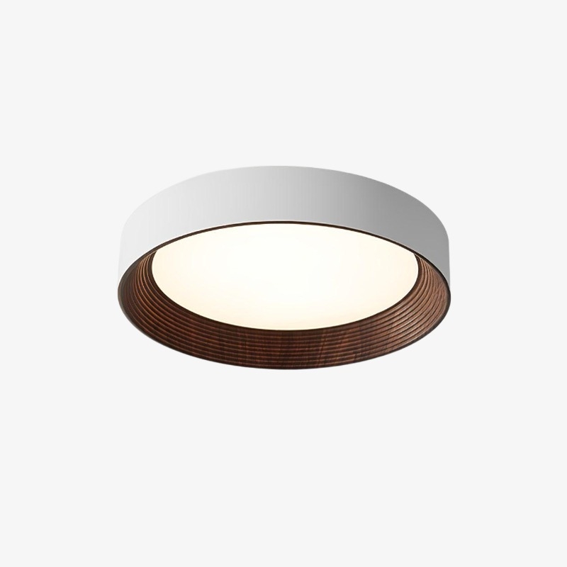 Cedronis Minimalist Ceiling Fixture - Modern Indoor Lighting Solution K2292
