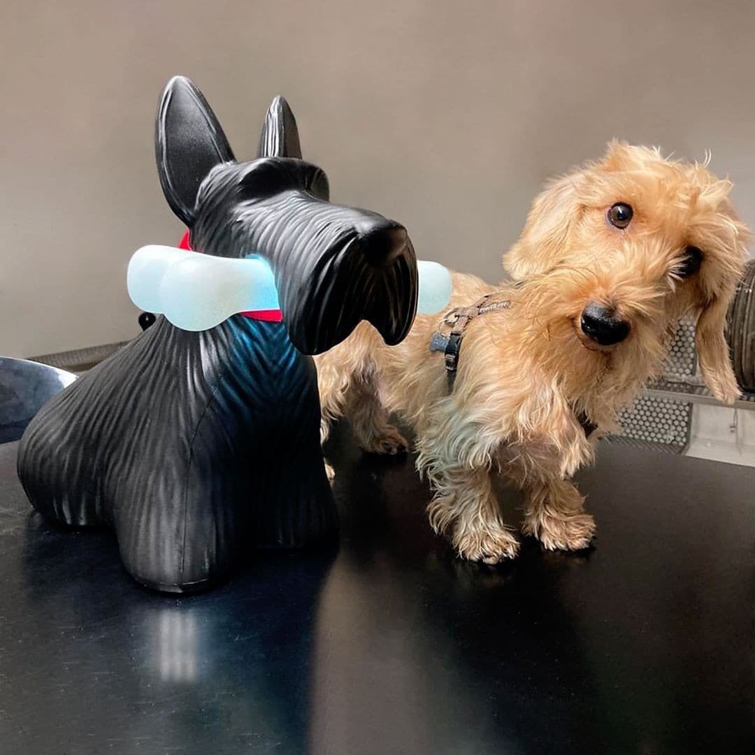 Scottie Table Lamp K1083