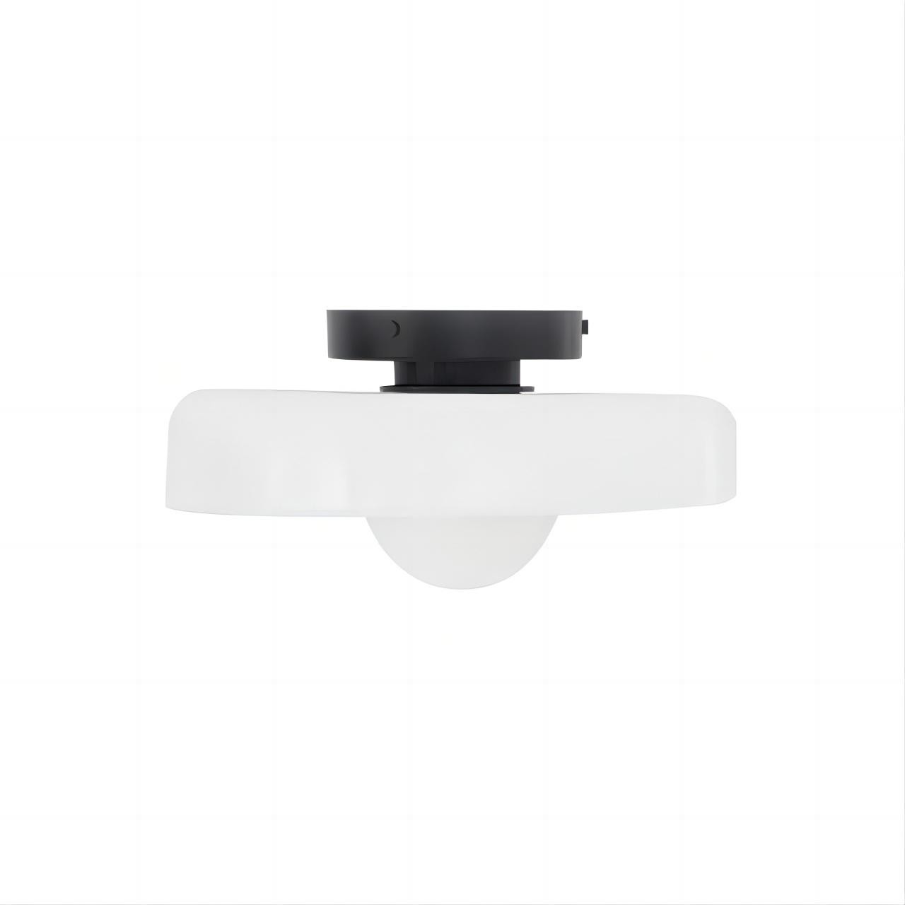 Morandi Disc Orb Wall Ceiling Lamp