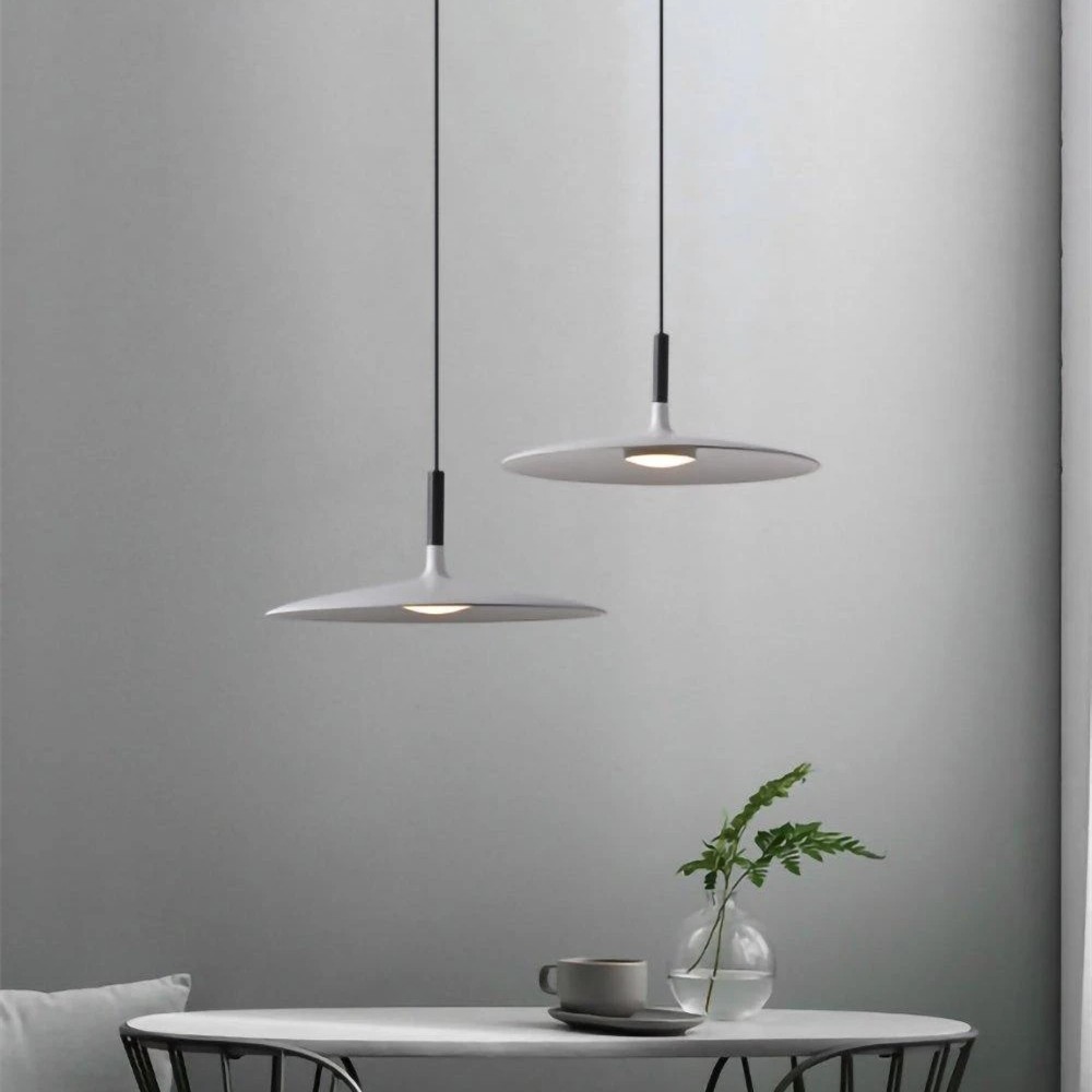 Vibrant Aplomb Large Pendant Light - Stylish Round Disc Pendan Light for Modern Interiors