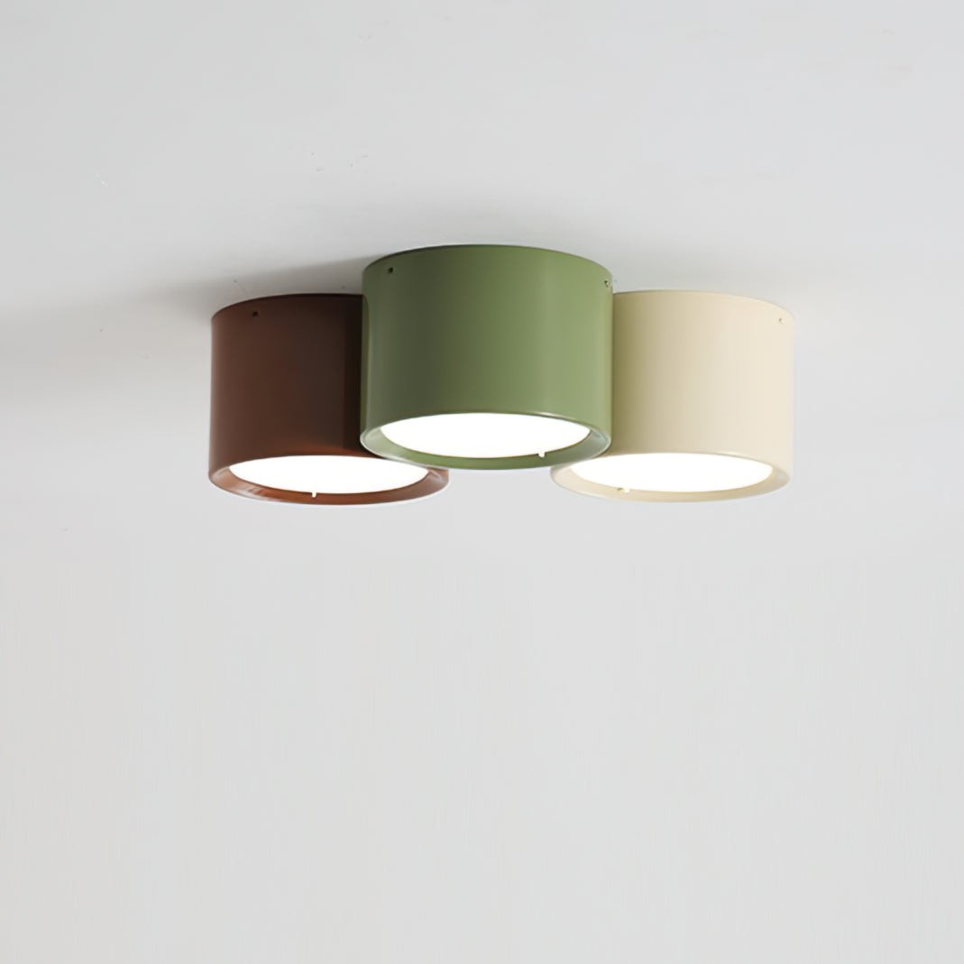 Asher Combination Ceiling Light K966