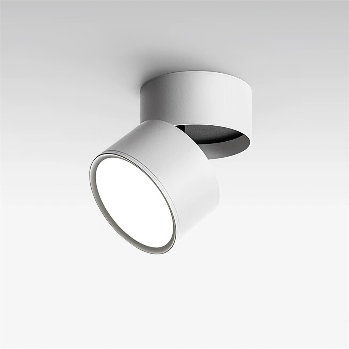Favilla Surface Spotlight D04