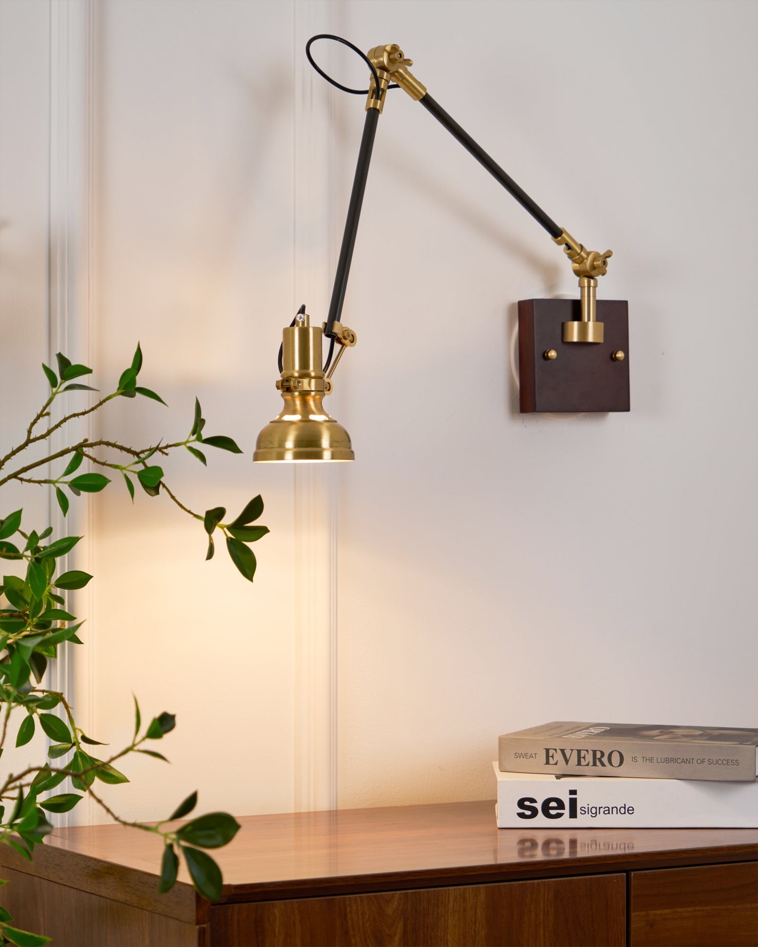 Kane Swing Arm Wall Lamp K1037