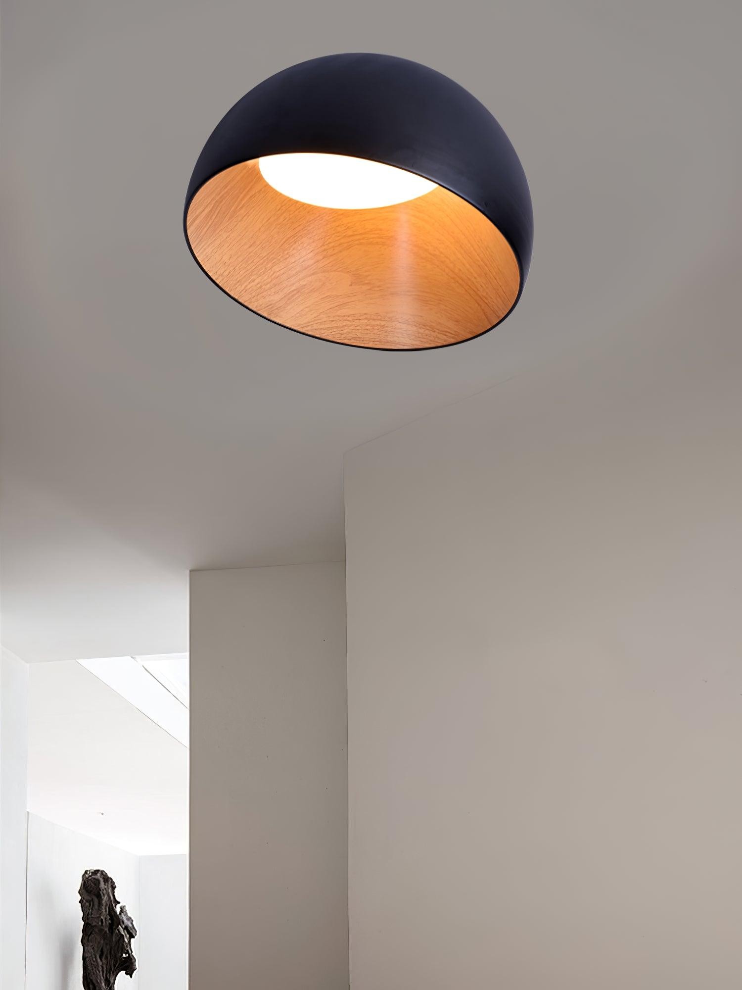 Simple Modern Nordic LED Eggshell Ceiling Lamp K360