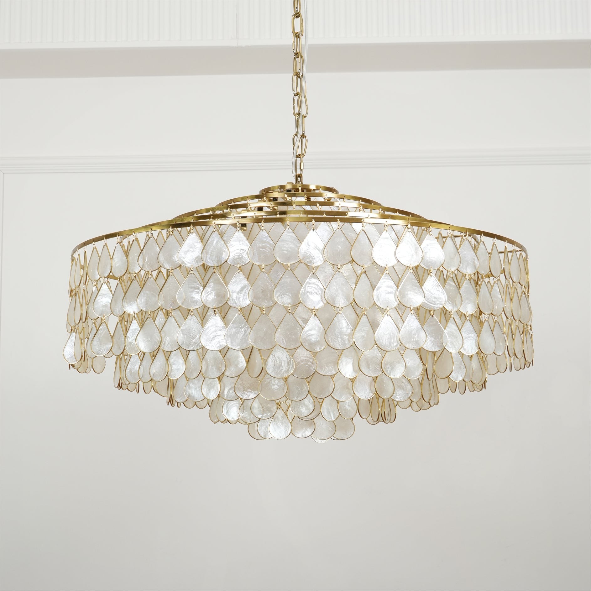 Vivant Shell Pendant Lamp K1094