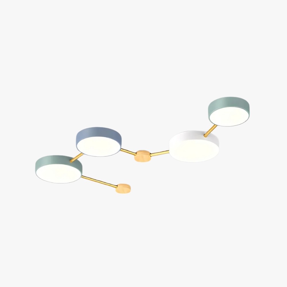 Modern Branch Circular Led Ceiling Lamp K933