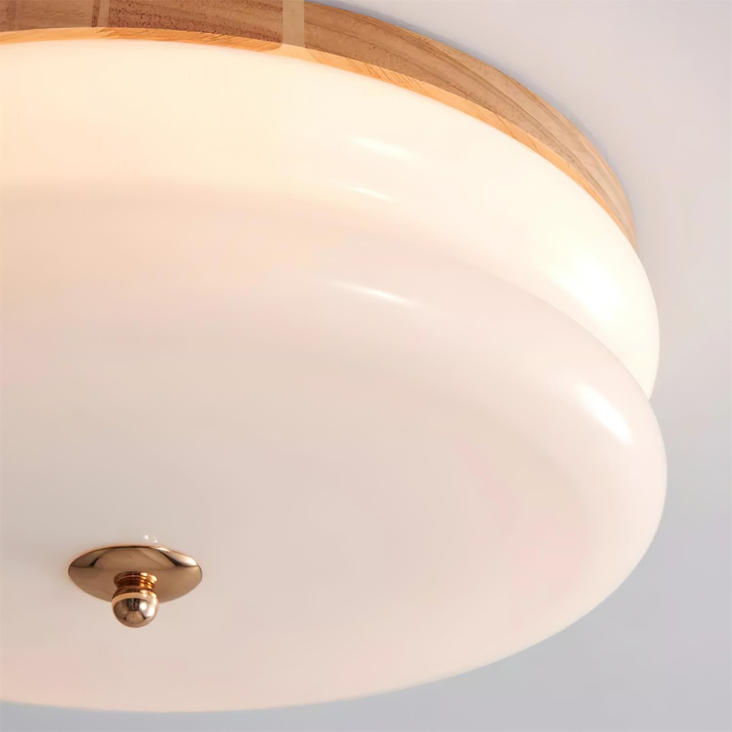 Rowen Ceiling Light D05