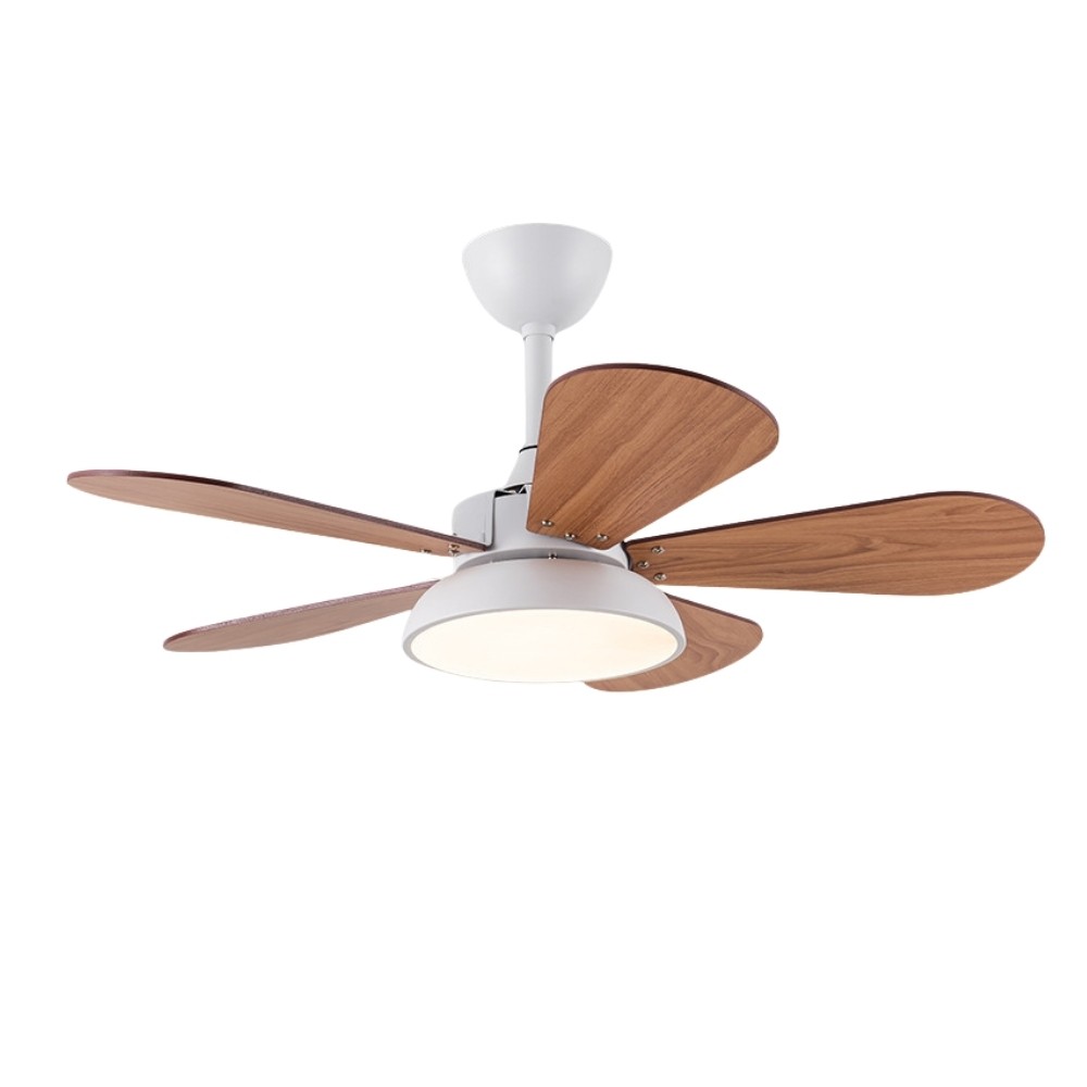 Nordic Colorful 3 Blade Ceiling Fan Light For Kids Room K1118