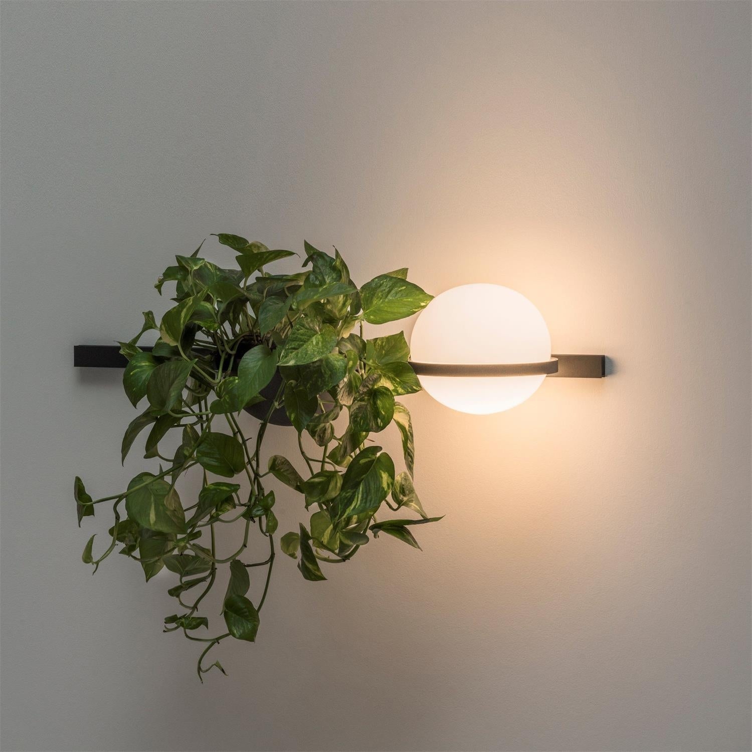Palma Wall Lamp D509