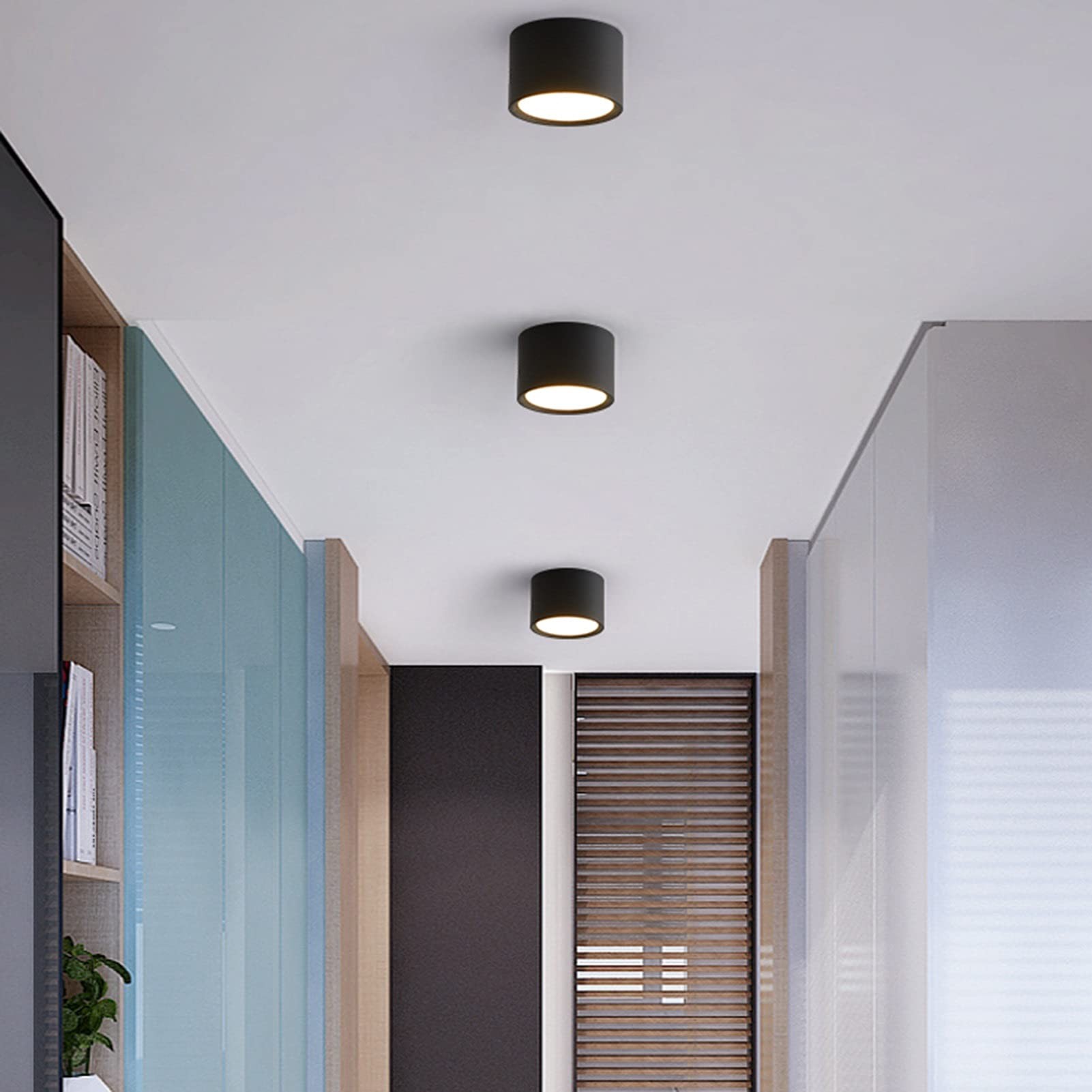 LED Ceiling Light