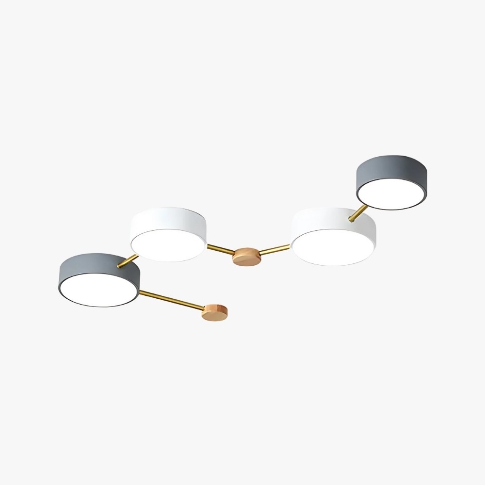 Modern Branch Circular Led Ceiling Lamp K933