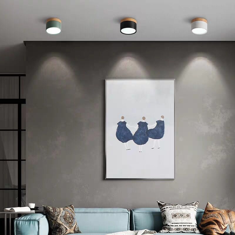Don Nordic Modern Ceiling Light D881