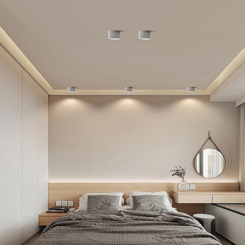 LED Ceiling Light