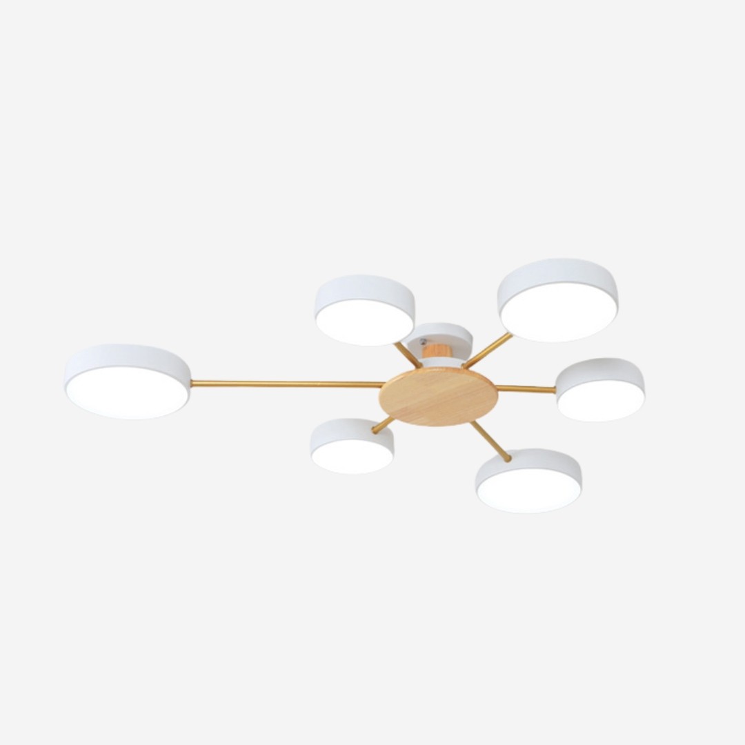 Nordic Multi Heads Round Led Ceiling Light K934