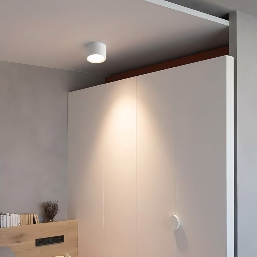 LED Ceiling Light
