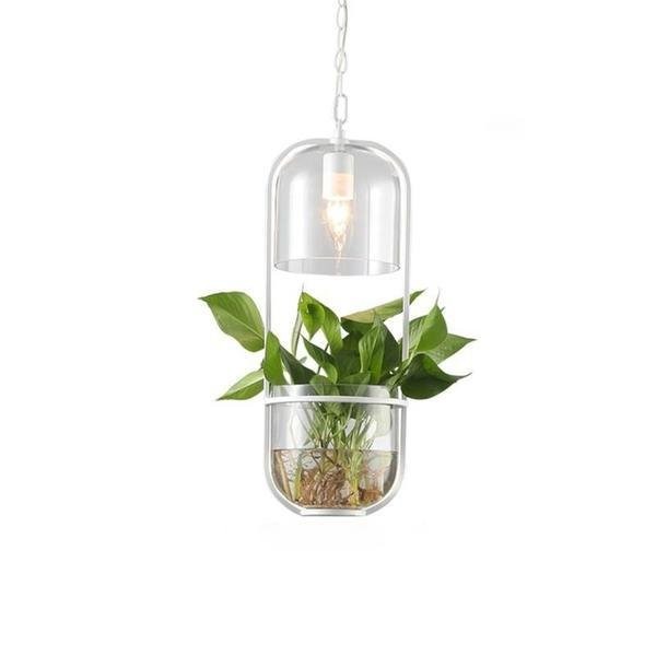 Water Plants Glass Pendant Light