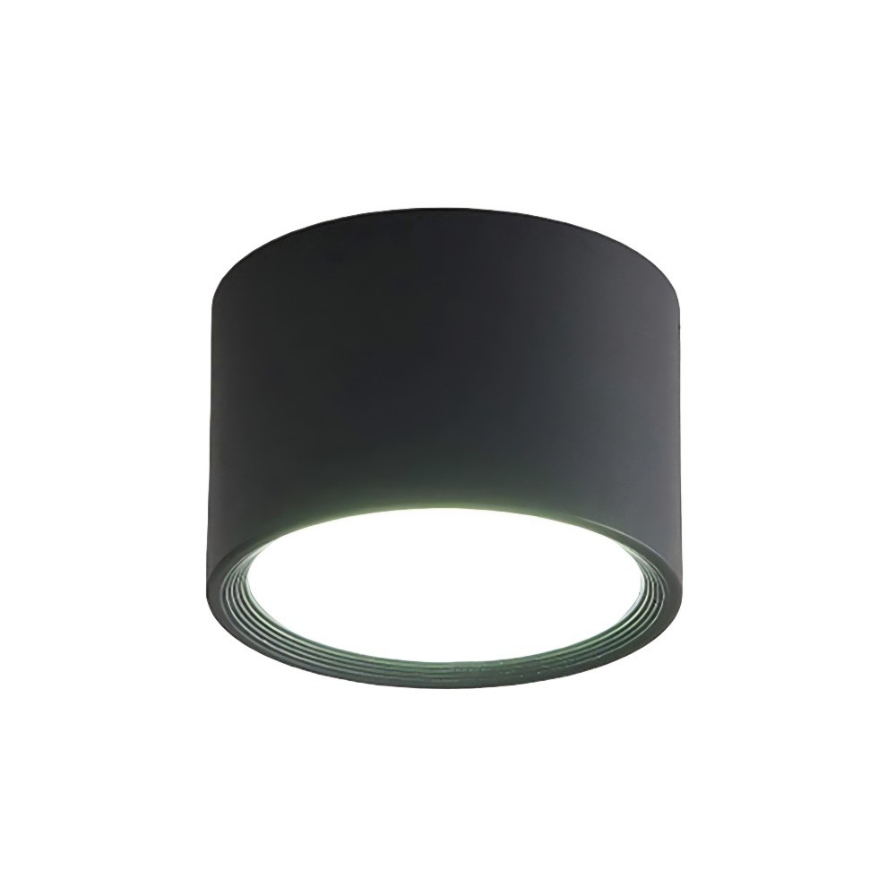 LED Ceiling Light