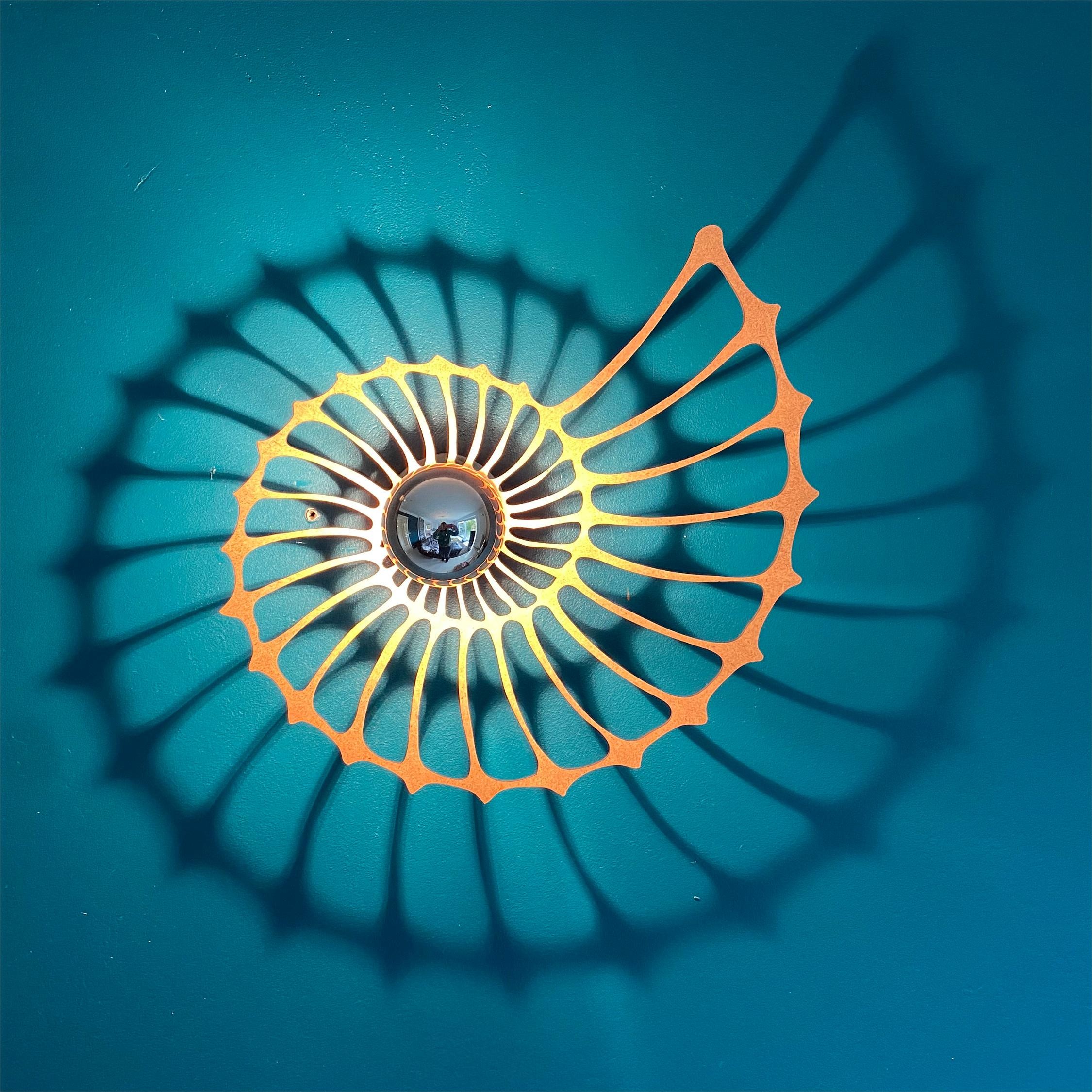Nautilus Design Decorative LED Wall Light K83