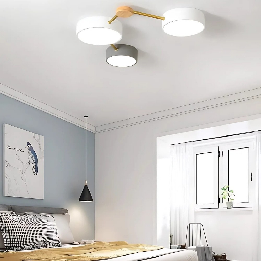 Modern Branch Circular Led Ceiling Lamp K933