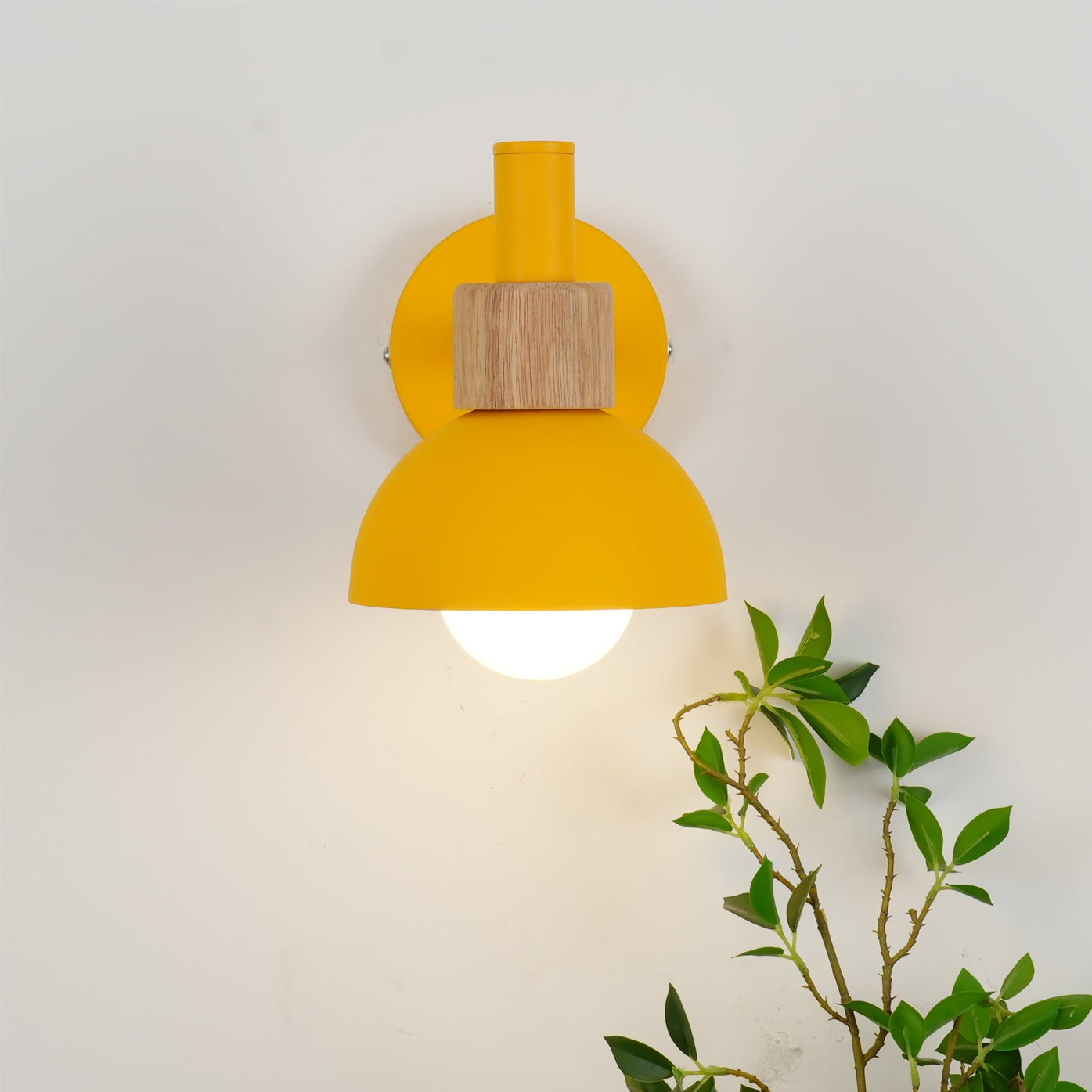 Fanta Wall Lamp K1019