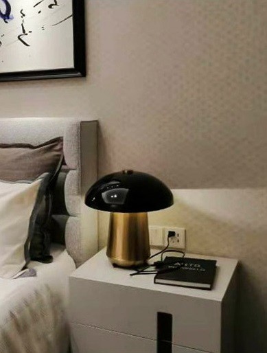 Cloak Mushroom Table Lamp
