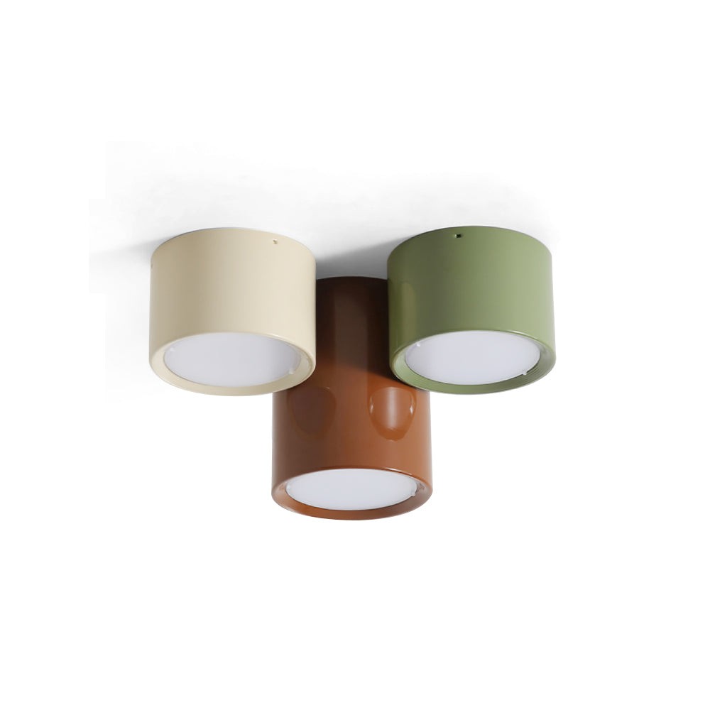 Asher Combination Ceiling Light K966