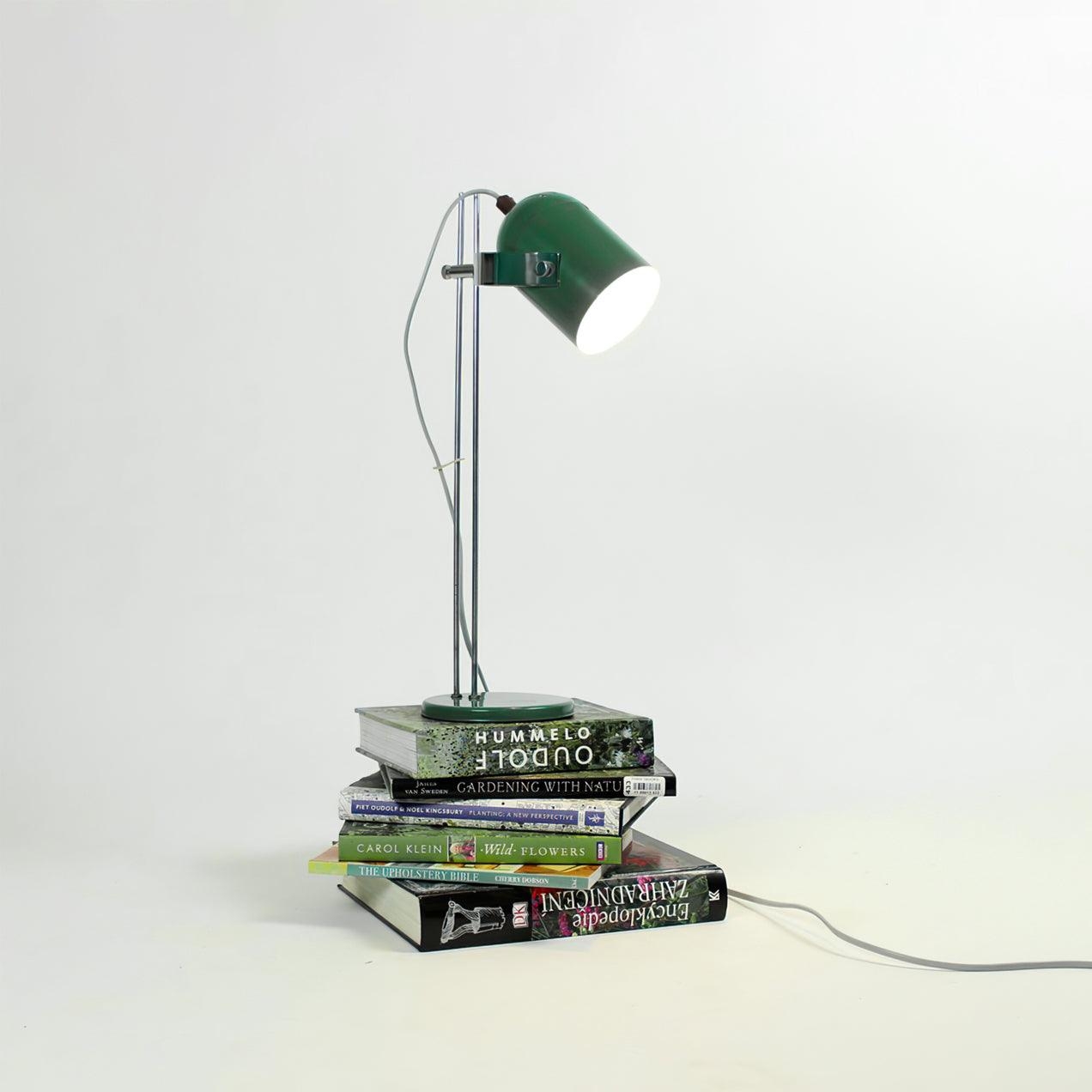 Adjusta Liftable Desk Lamp D370