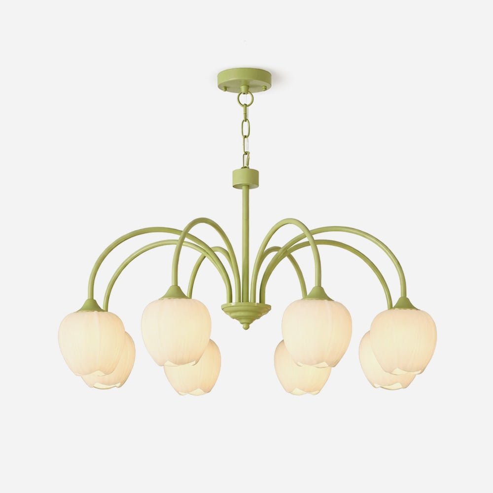 Tulip Matcha Chandelier D364