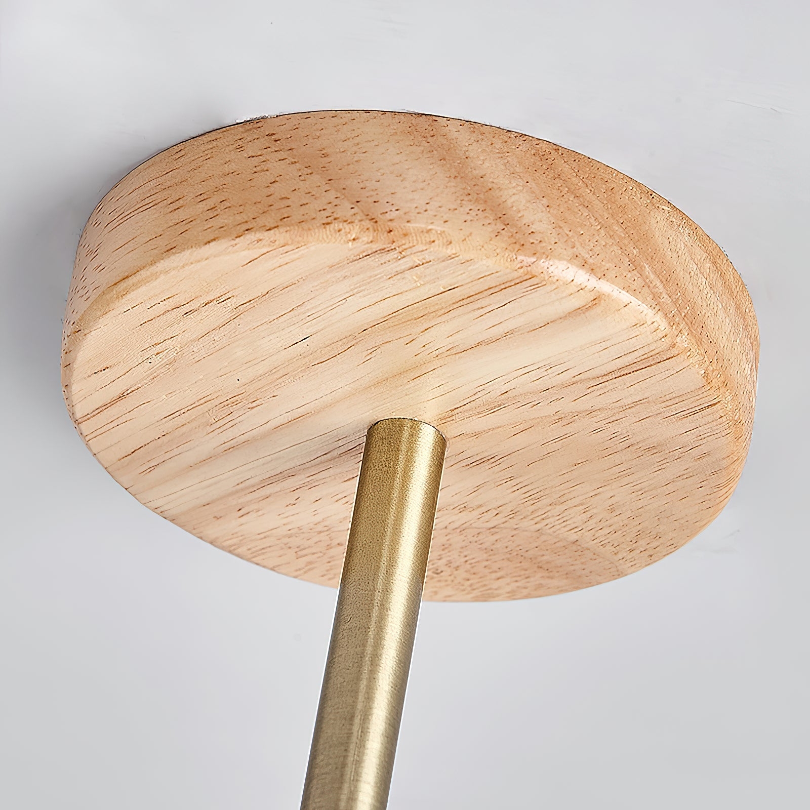 Sally Surface Mount Pendant Lamp D683