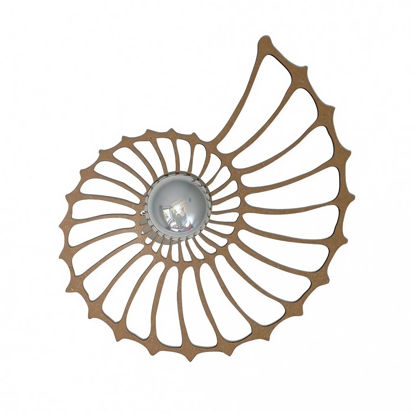 Nautilus Design Decorative LED Wall Light K83