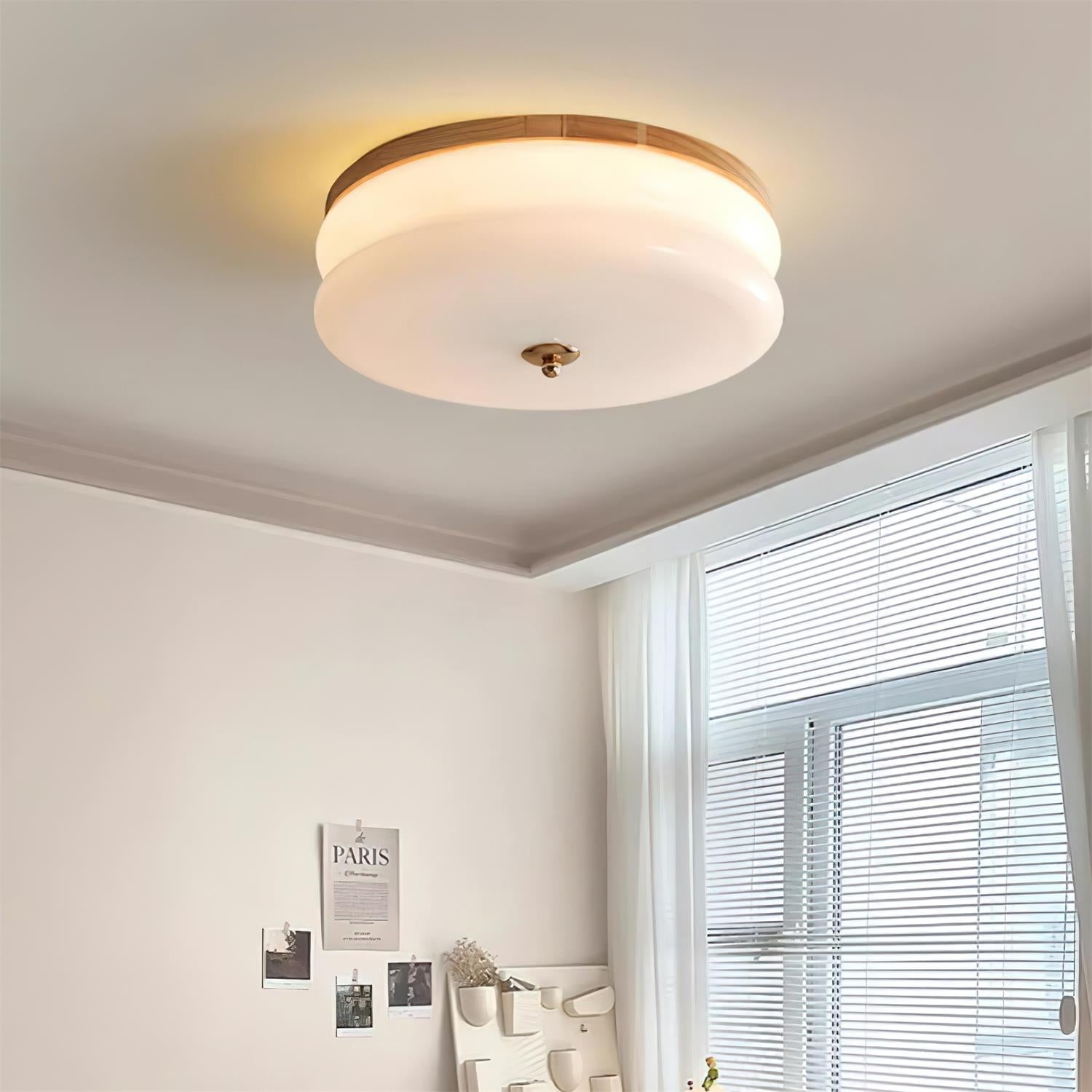 Rowen Ceiling Light D05