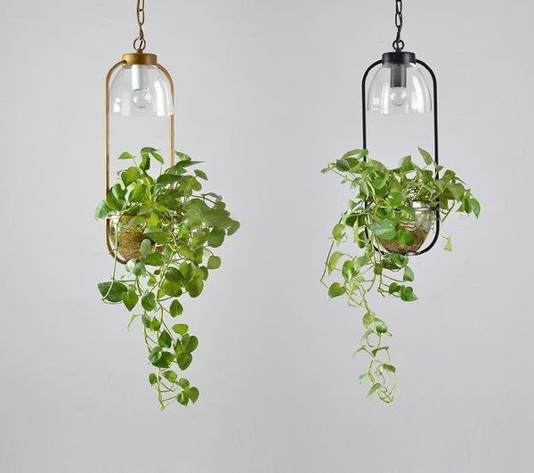 Water Plants Glass Pendant Light