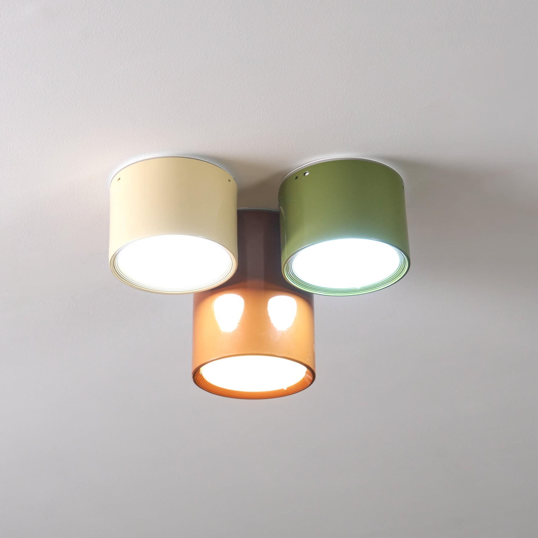 Asher Combination Ceiling Light K966