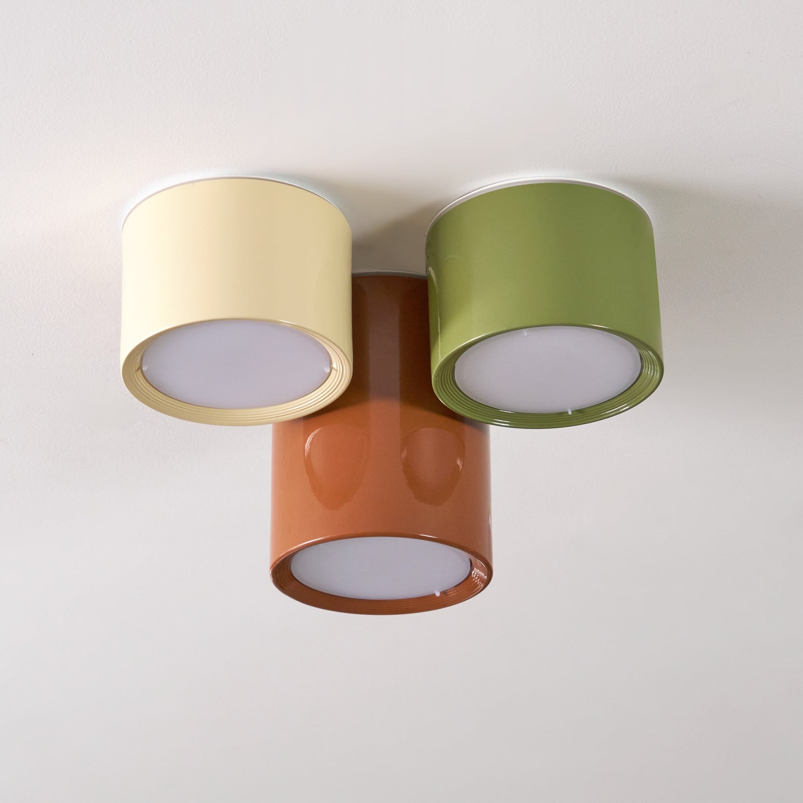 Asher Combination Ceiling Light K966