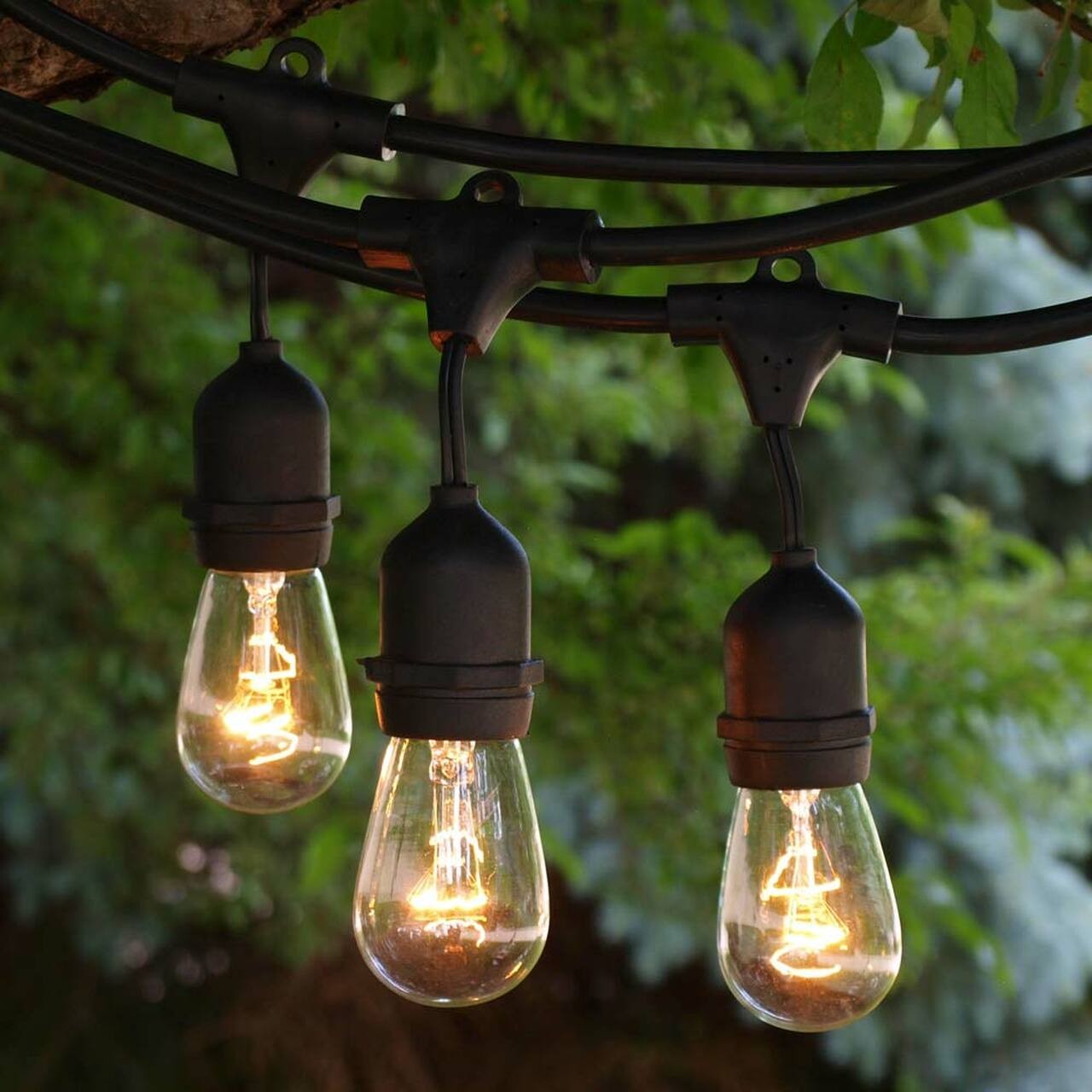 S14 Outdoor String Lights