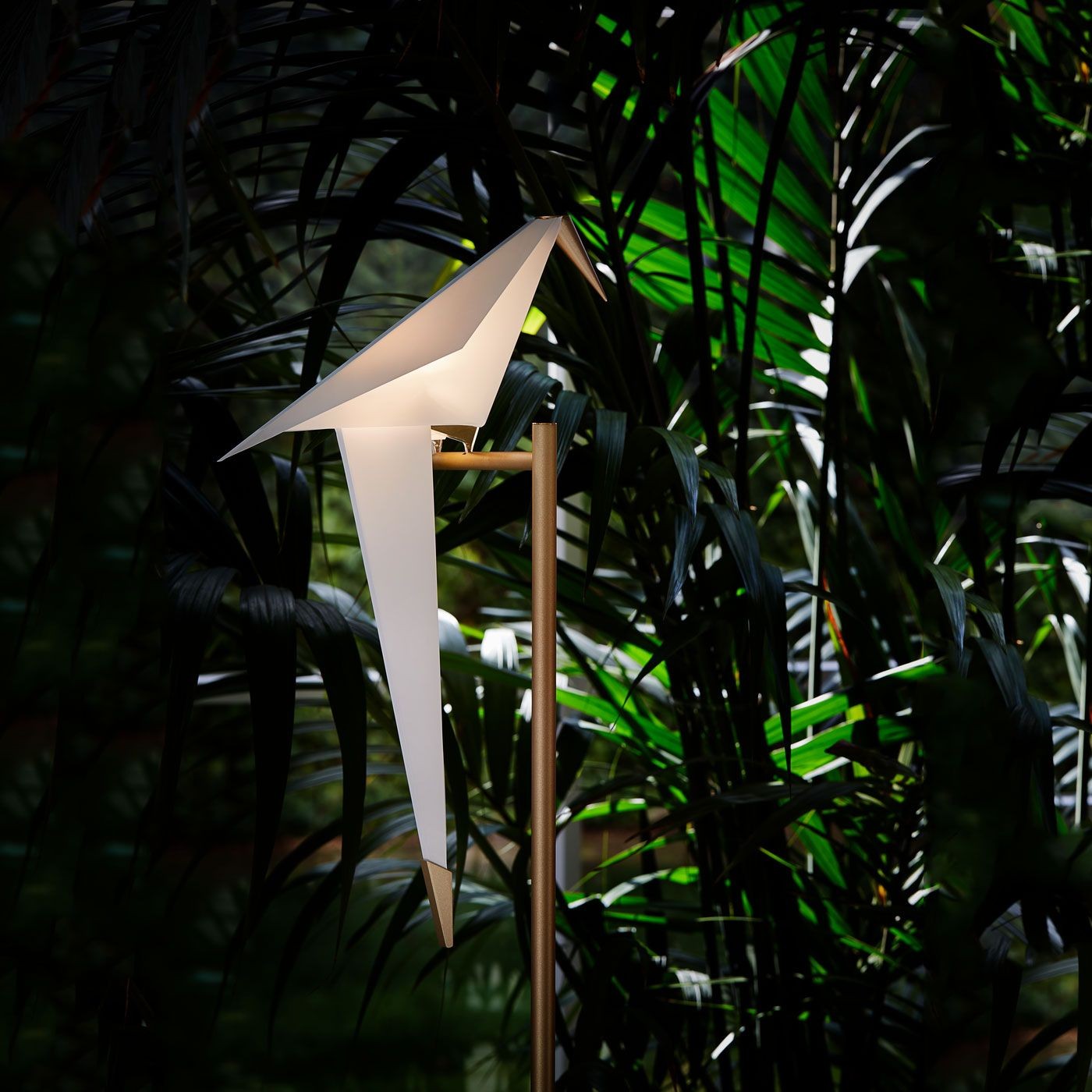 Perch Light Table Lamp
