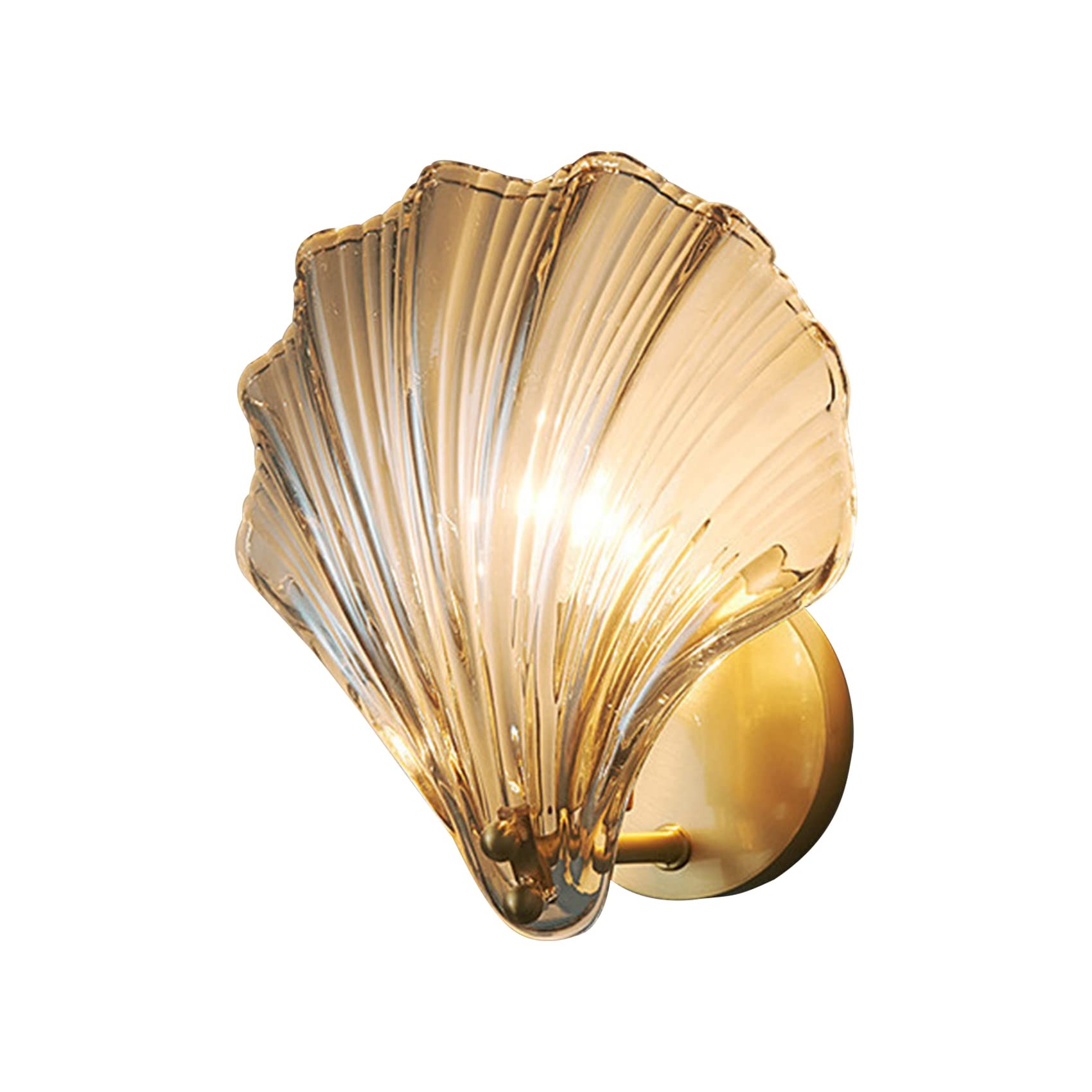 Vintage Rustic Shell Indoor Wall Light