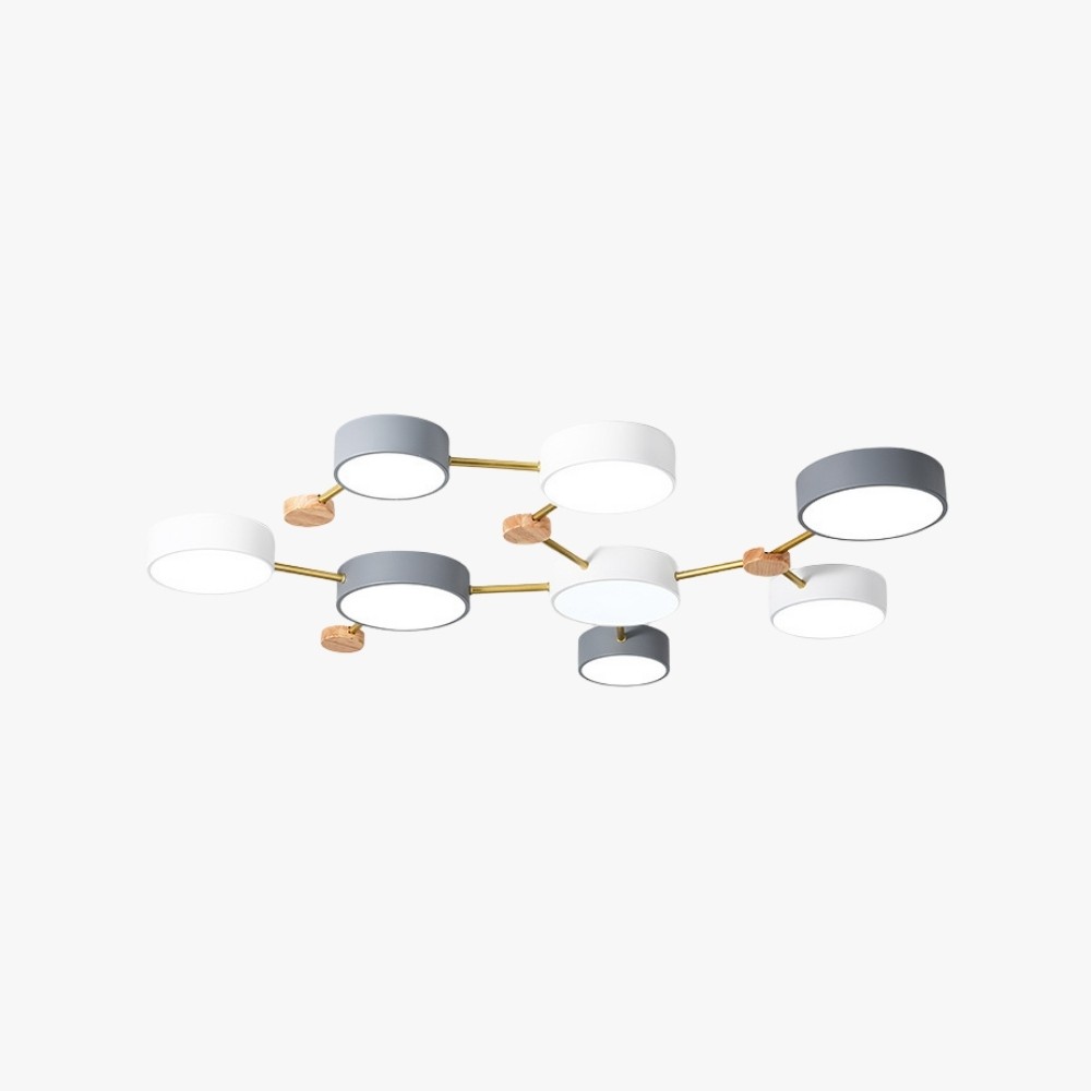 Modern Branch Circular Led Ceiling Lamp K933